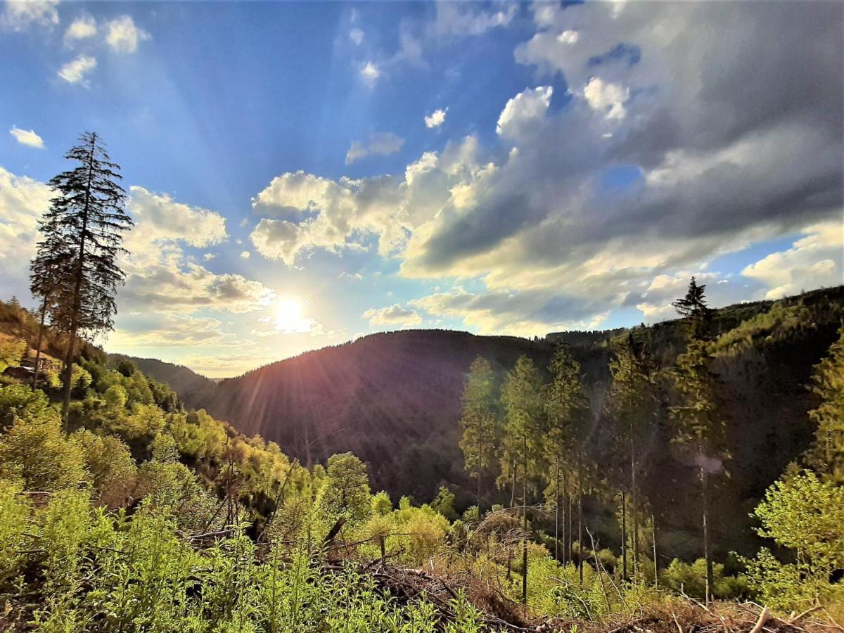 Harz Hotel Iris Sieber المظهر الخارجي الصورة
