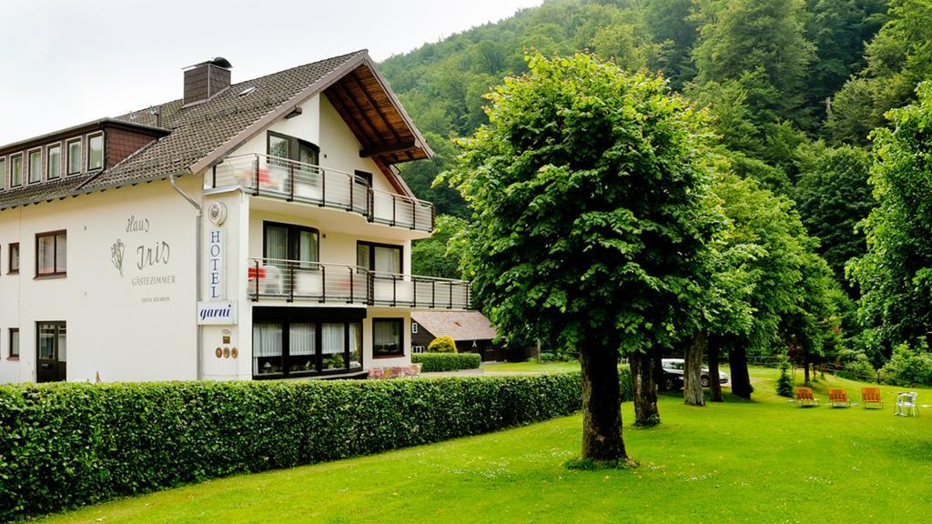 Harz Hotel Iris Sieber المظهر الخارجي الصورة