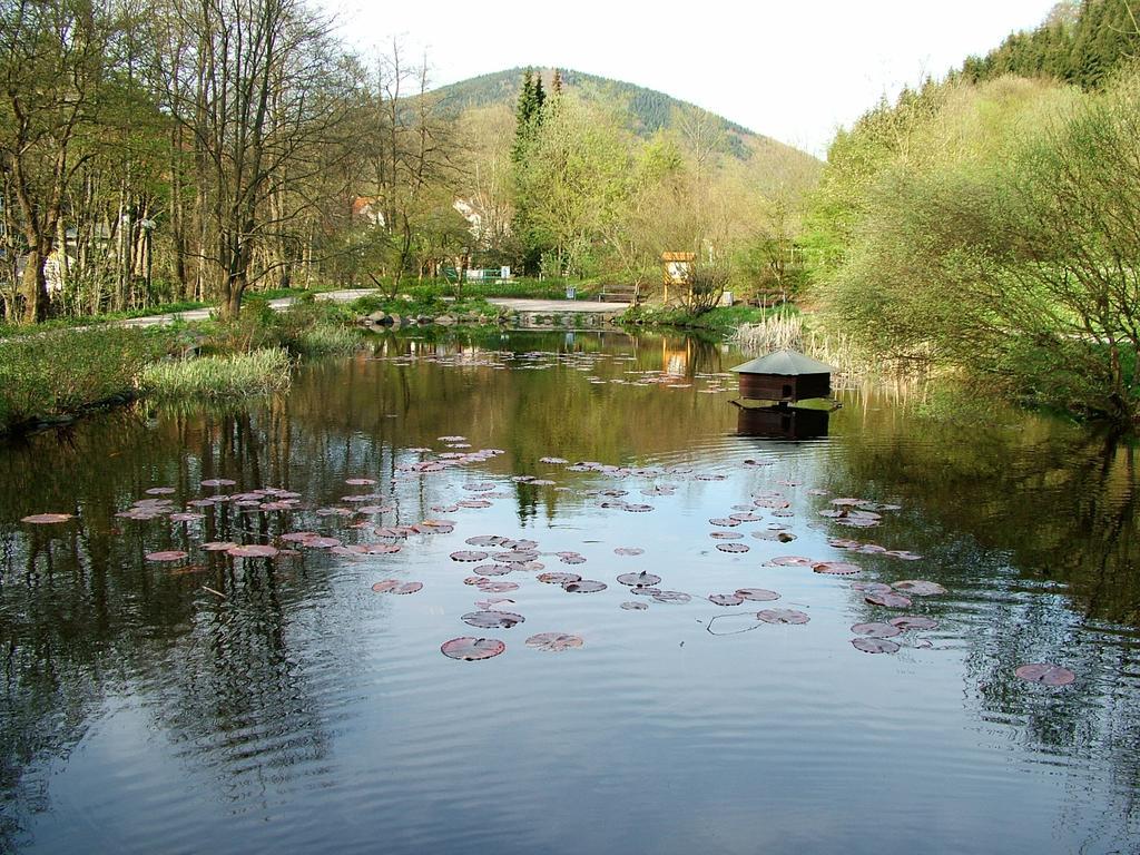 Harz Hotel Iris Sieber المظهر الخارجي الصورة