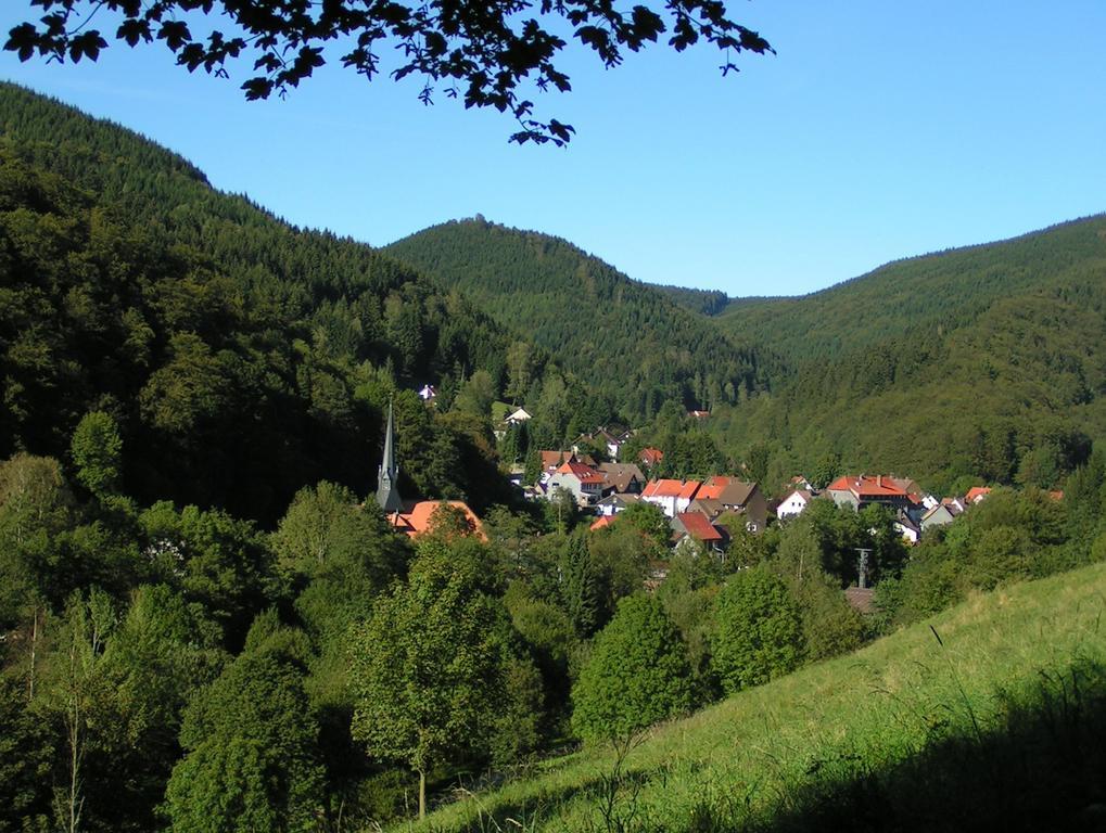 Harz Hotel Iris Sieber المظهر الخارجي الصورة