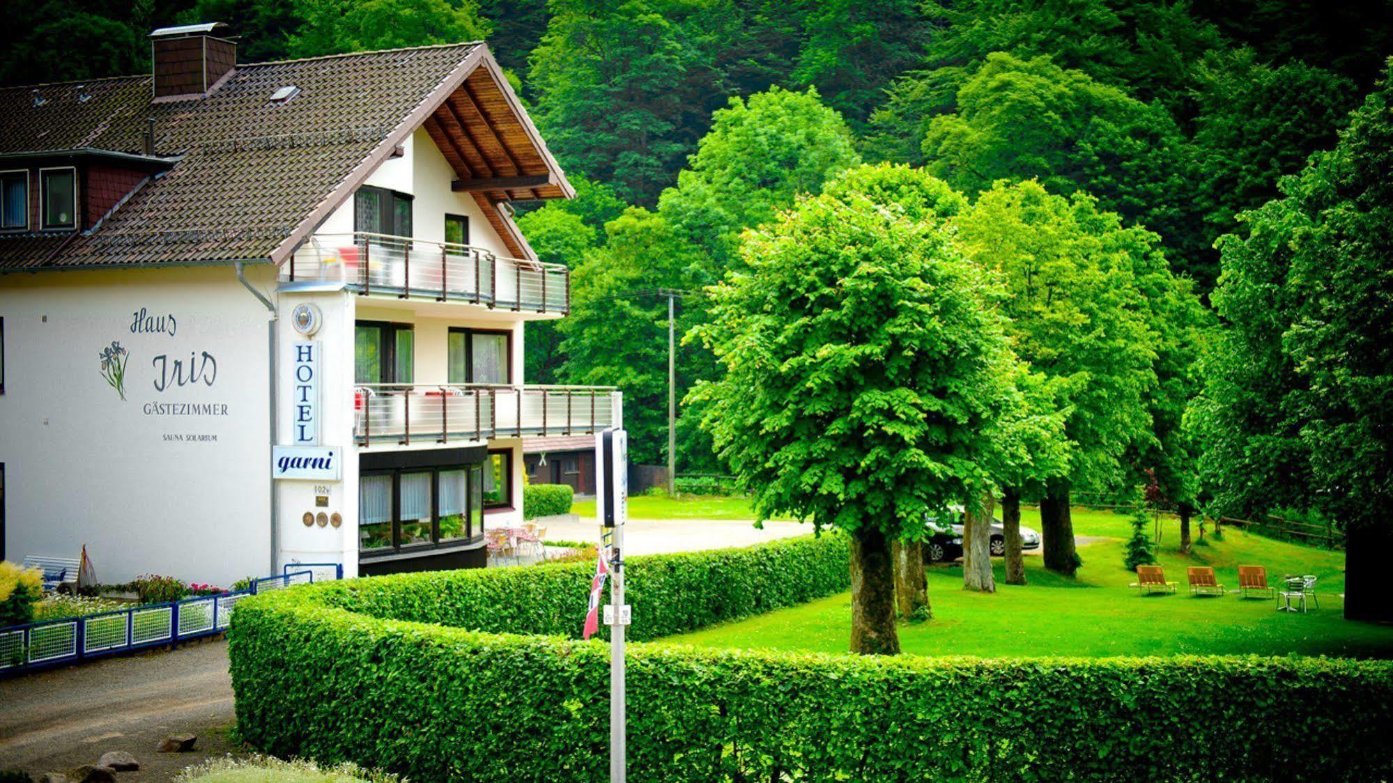 Harz Hotel Iris Sieber المظهر الخارجي الصورة